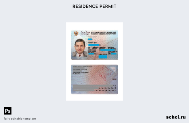 скачать цифровой шаблон карты проживания в Черногории
